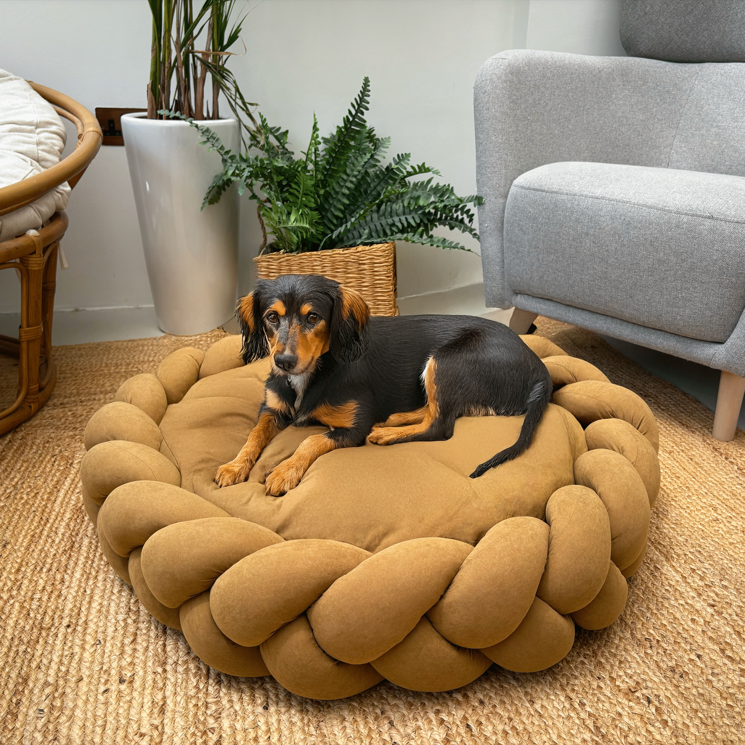Black dog resting on Dark camel Large Round Plush Pet Bed with Braided Knit Border and Aesthetic Design