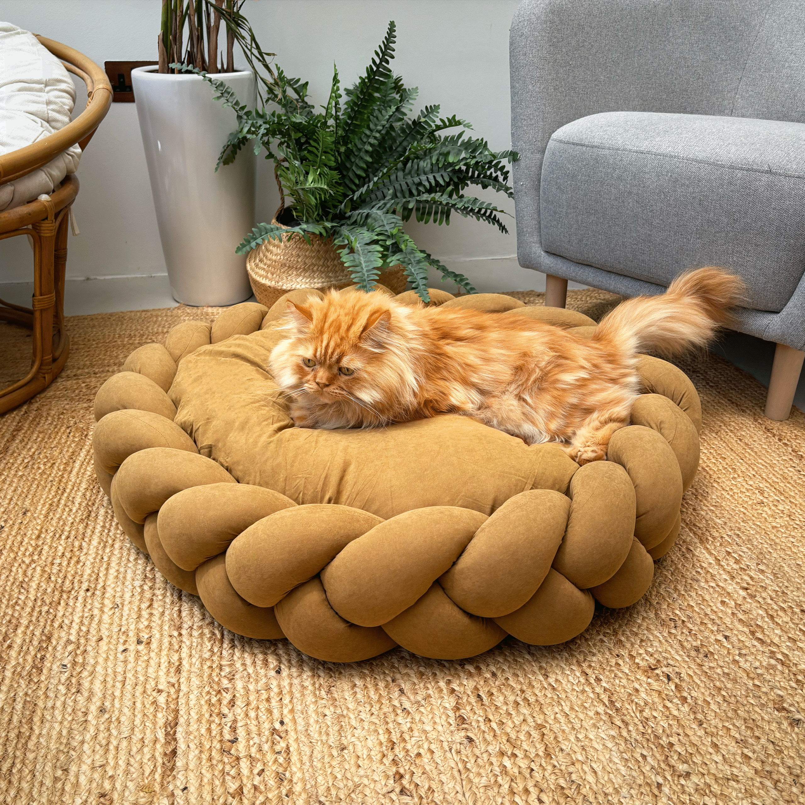 Orange persian cat resting on dark camel Large Round Plush Pet Bed with Braided Knit Border and Aesthetic Design
