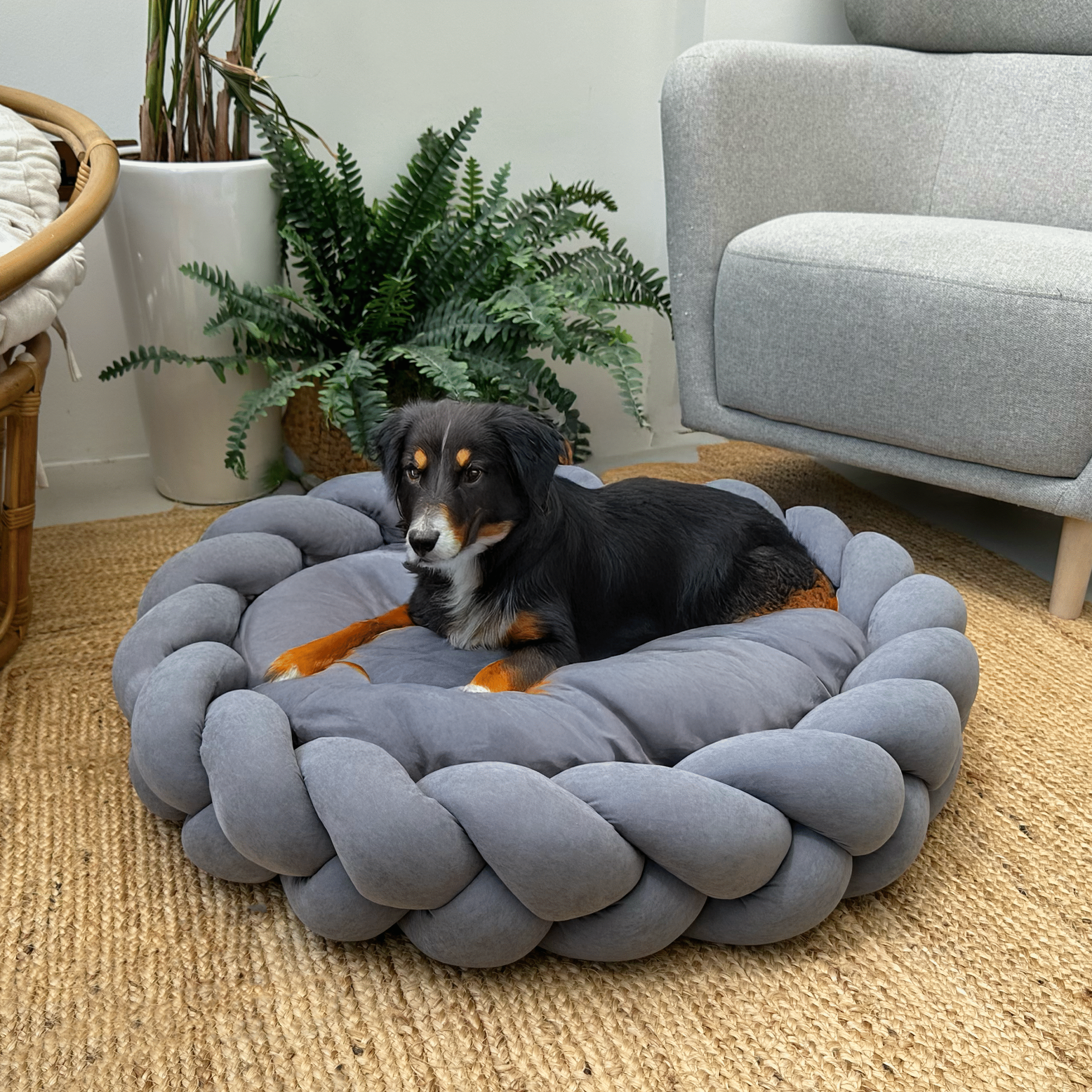 Black dog resting on Charcoal Grey Large Round Plush Pet Bed with Braided Knit Border and Aesthetic Design