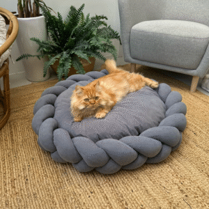 Persian cat resting on Charcoal Grey Large Round Plush Pet nest with Braided Knit Border and Aesthetic Design